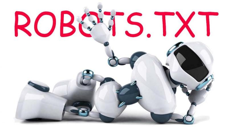 Что такое robots.txt и зачем он нужен в Петропавловске-Камчатском